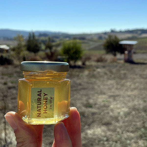 Blanchet Farm Honey image 2