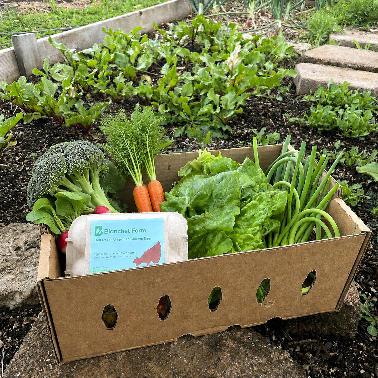 Blanchet Farm Box